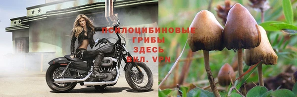 синтетический гашиш Богородск
