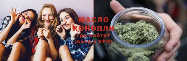 mdpv Бородино