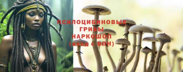марки nbome Богданович
