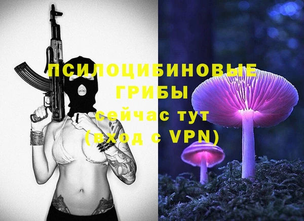 mdpv Бородино