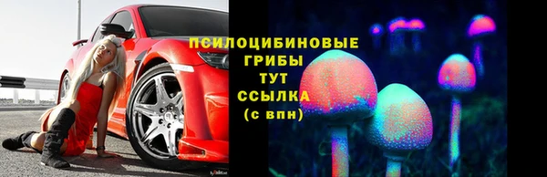 mdpv Бородино