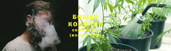 трава Богородицк