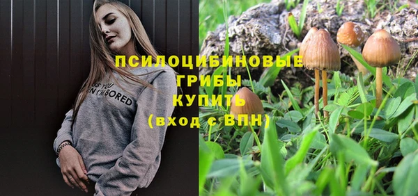 mdpv Бородино