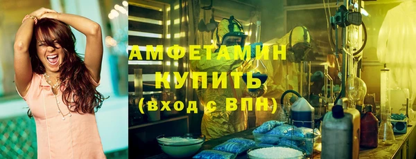 mdpv Бородино