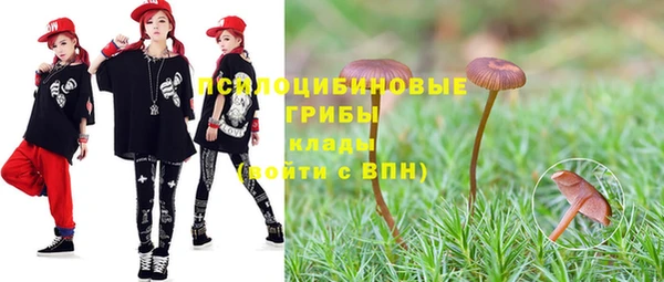 прущие крисы Бугульма