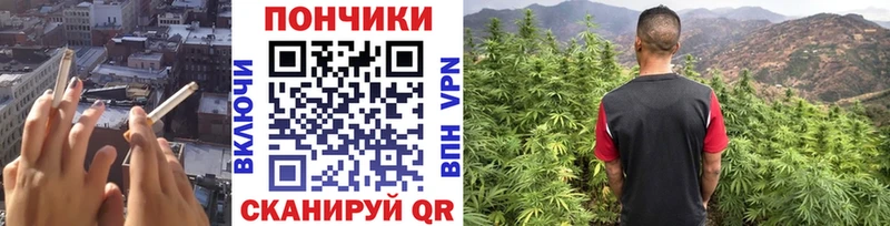 Купить  Петровск-Забайкальский  Канабис OG Kush 